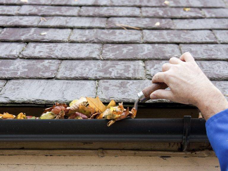 Dachrinnenreinigung