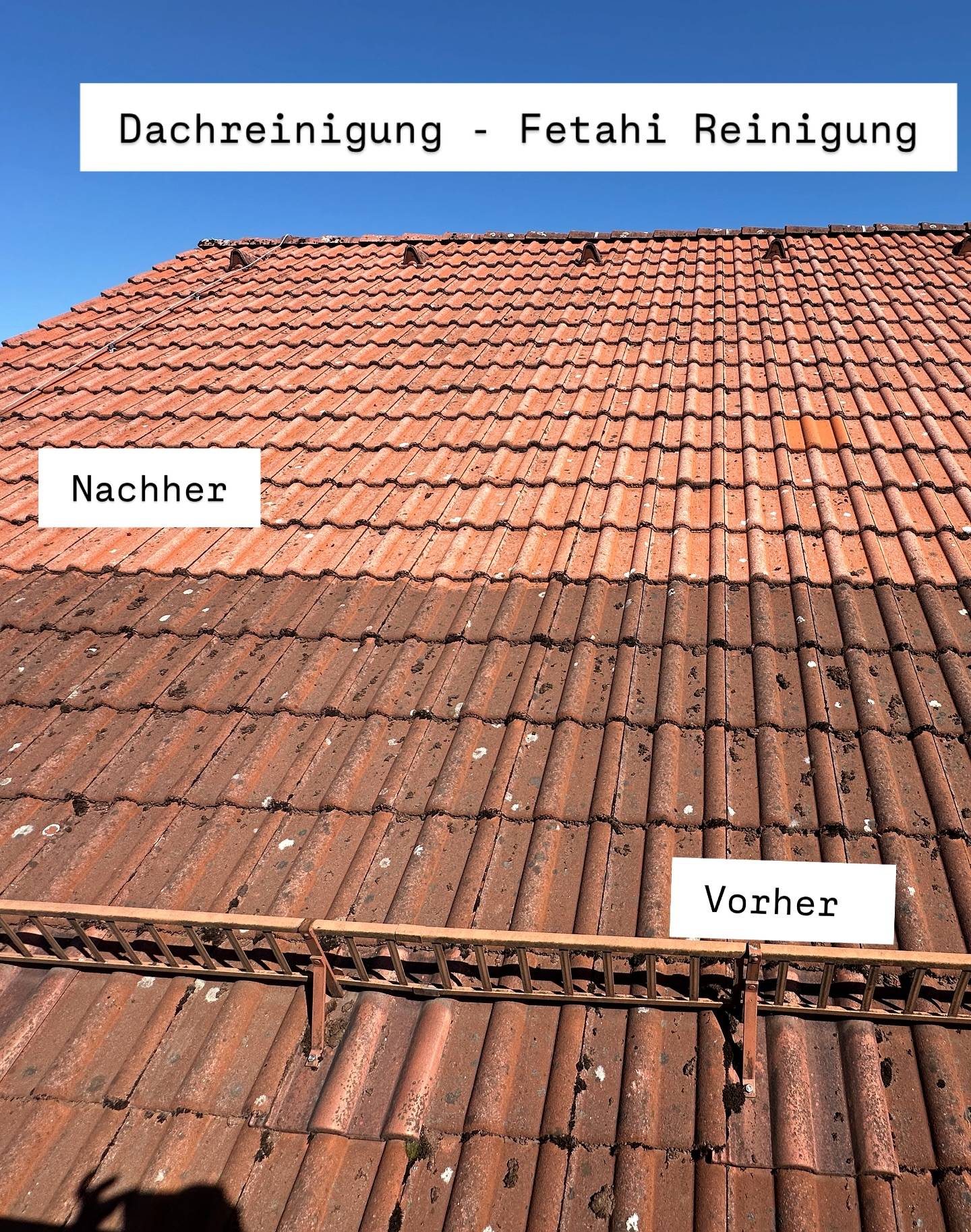 Dachreinigung Vorher Nachher Effekt
